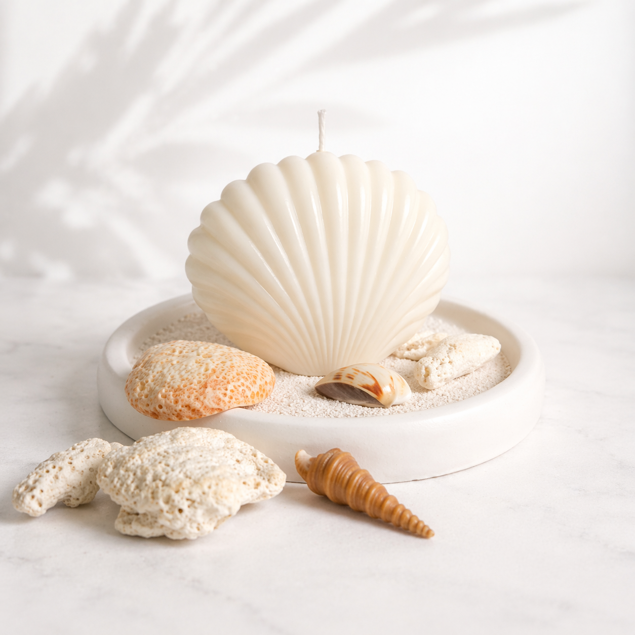 Shell (Medium)