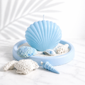 Shell (Medium)
