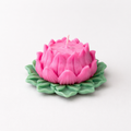 Lotus Bloom